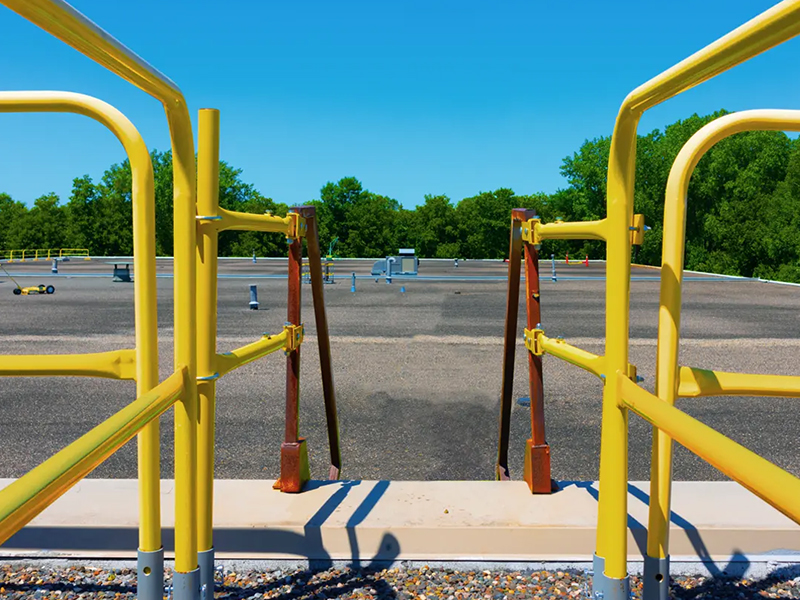 LadderGuard™ 2